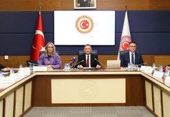 Dışişleri Komisyonu Başkanı Oktay: SDG'nin Suriye'yle bütünleşmesi kritik önem taşımaya devam etmektedir