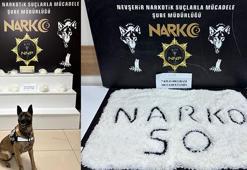 Nevşehir'de 7,4 kilo metamfetaminle yakalanan şüpheli tutuklandı
