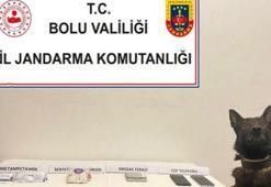Gizli bölümlere saklanmış uyuşturucuları, narkotik köpeği buldu