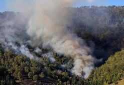 Avustralya'da 50'den fazla orman yangını çıktı