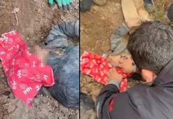 Kayıp olarak aranan çocuk, başından yaralı ve vücudunun bir kısmı toprağa gömülü bulundu