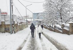 Van'ın 2 ilçesinde 11 yerleşim yeri kar nedeniyle ulaşıma kapandı