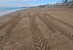 Caretta yuvası kumullar, iş makinesiyle ezildi