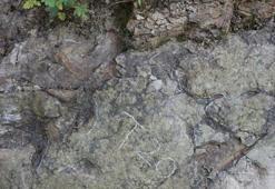 Çin'de yaklaşık 200 milyon yıl öncesine ait dinozor ayak izleri bulundu
