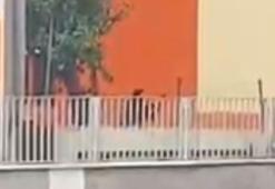 Eski sevgilisiyle konuşmak için geldiği okul önünde intihara kalkıştı