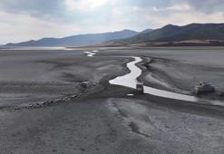 ‘Kuraklık milyonlarca insanın göçüne neden olabilir’