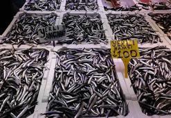 Balık tezgahlarında hamsi bolluğu