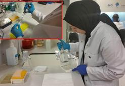 KKKA aşısında klinik öncesi çalışmalar tamamlandı