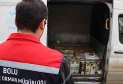 Bolu’da bin 500 litre sahte zeytinyağı ele geçirildi