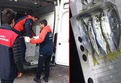 Kırklareli'de el konulan 3 ton istavrit ihtiyaç sahiplerine dağıtılacak