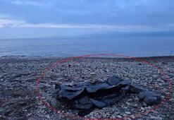 Bursa’da sahilde erkek cesedi bulundu