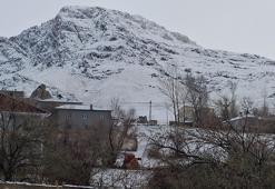 Van'da yüksek kesimlere kar yağdı