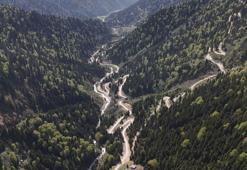 Karadeniz'de yağış değişimi alarmı; orman varlığı gençleştiriliyor