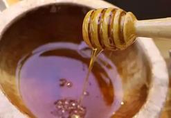 2025'te 100 bin tonun üzerinde bal üretimi beklentisi
