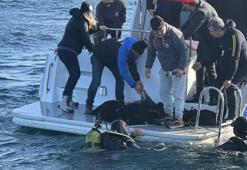 Çanakkale Boğazı'nda hayalet ağ temizliği yapıldı