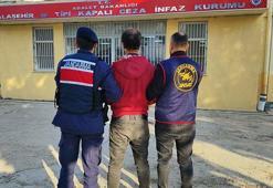 Manisa'da üzüm üreticilerinin paralarını gasbeden firari hükümlü yakalandı