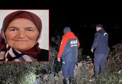 Ormanda defne yaprağı toplarken kaybolan kadın için arama çalışması başlatıldı