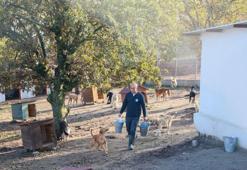 Sahiplendiği 2 köpeği sokağa terk eden kadına 172 bin 716 TL ceza