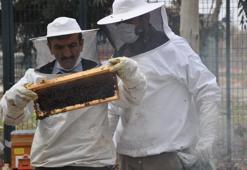 'İyi bal donar, mutlaka sıvı olması gerekmiyor'