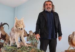 'Yaban hayvanlarına yaklaşmanın ve temas kurmanın ciddi biyogüvenlik riskleri var'