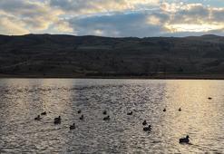 Kuruyunca kuşların da terk ettiği göl, yağışlarla yeniden 'hayat' buldu