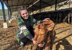 Bakanlık projesiyle hayvancılığa başlayan Ayşegül: Şimdiden 7 buzağım oldu bile