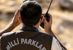 Yaban keçisi vuran avcıya 953 bin TL ceza