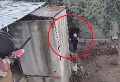 Osmaniye’de kümeslerden tavuk çalan şüpheli tutuklandı; hırsızlık anı kamerada