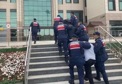 Nevşehir'de 920 kiloluk kabak çekirdeği hırsızlığı; 2 tutuklama