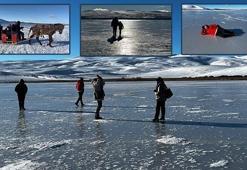 Çıldır Gölü'nün yüzeyi, buz tutmaya başladı