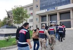 Jandarmadan 'siber dolandırıcılık' operasyonu: 54 tutuklama