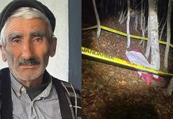 Uçuruma uçan traktörün sürücüsü öldü, eşi yaralandı