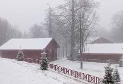 Kuzuyayla Tabiat Parkı beyaza büründü