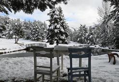 Gümüşhane'de Kent Ormanı, kar yağışıyla beyaza büründü