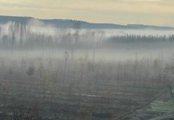 Dicle Vadisi'nde sis manzarası