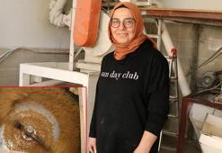 İki çocuk annesi, baba yadigarı 'ekmek teknesi' değirmeni 15 yıldır işletiyor