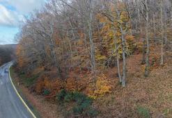 Dumanlı Dağı'nda sonbahardan kalma renk cümbüşü