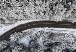 Bolu ormanlarında kar manzarası