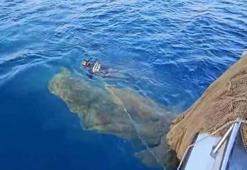 Muğla'da denizde hayalet ağ temizliği