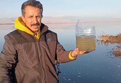 'Atıklar Eber Gölü'ndeki yaşamı yok etti'