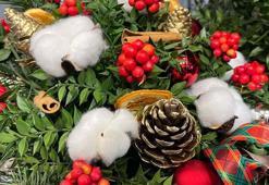 İzmir'de yılbaşının simgesi kokinaya talepte iki kat artış