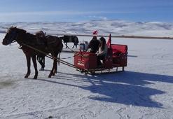 Atlı kızaklar, Çıldır Gölü’nde tura başladı