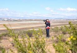 İstanbul ve Sabiha Gökçen havalimanlarında kuş sürüleri için ornitologlar görev başında