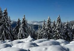 Ordu'da 2 bin rakımlı yaylada kar manzarası