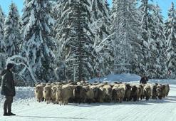 Karla kaplı yaylalarda dönüş yolculuğu