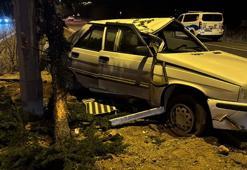 Ağaca ve aydınlatma direğine çarpan otomobilin sürücüsü yaralandı