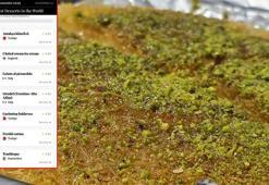 Antakya künefesi 'dünyanın en iyi 100 tatlısı' listesinde zirveye oturdu