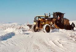 Siirt'te karla mücadele
