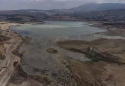 'Konya çölleşmeye doğru gidiyor'