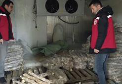 Manisa’da değeri 4 milyon lira olan bozulmuş kokoreç ele geçirildi